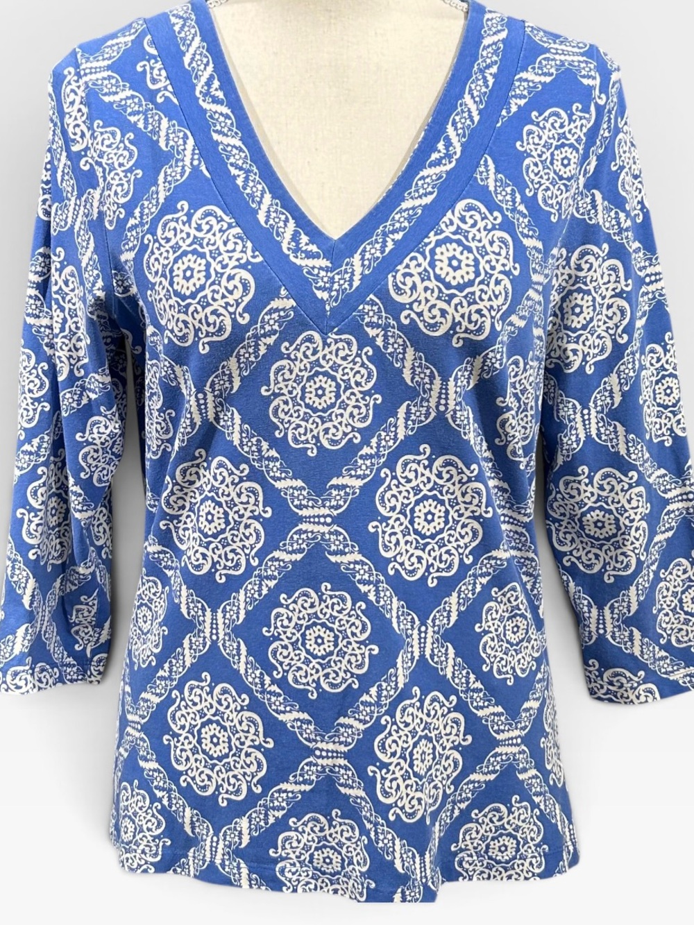Women's Blue V-Neck Printed Top by
